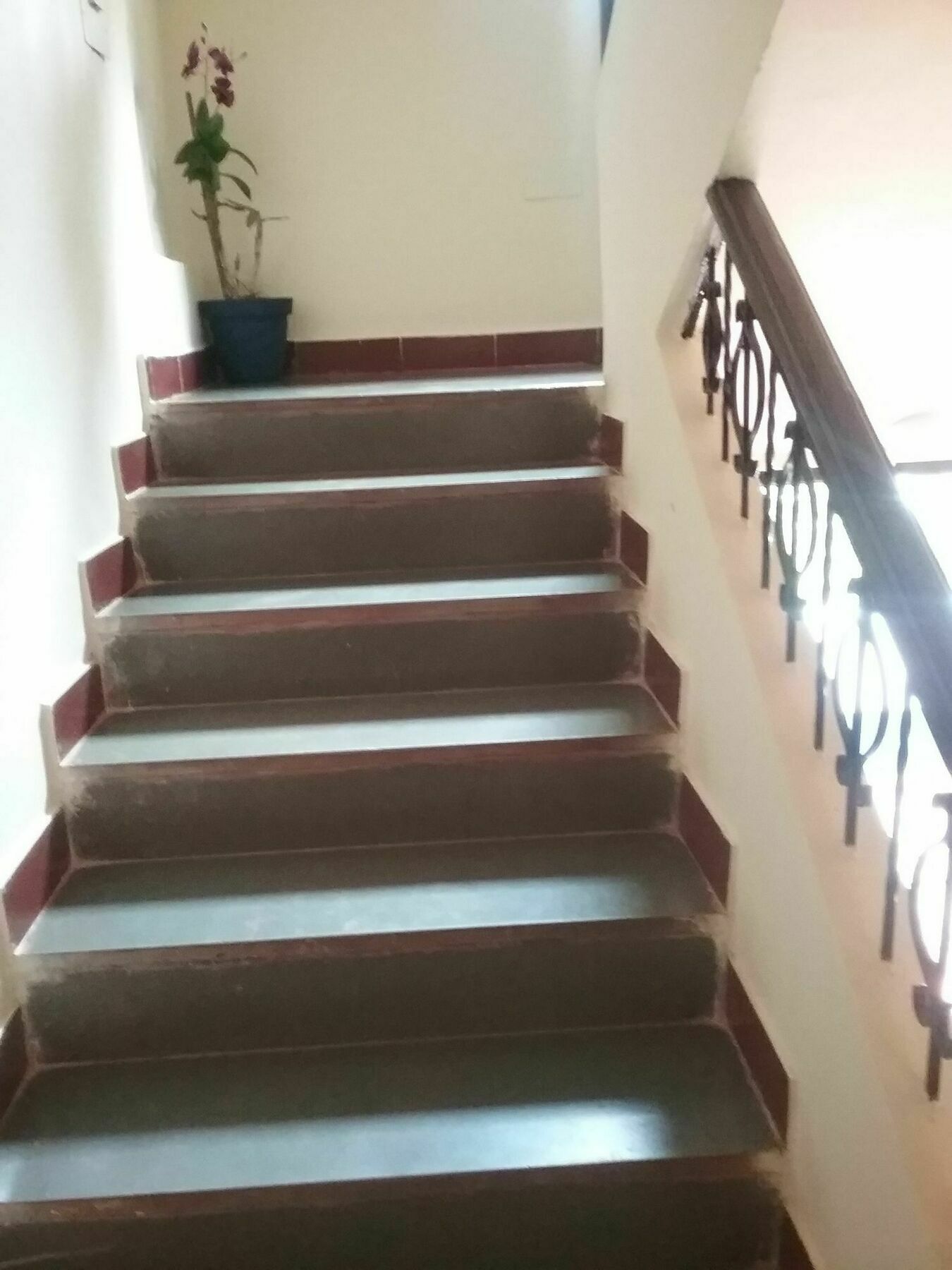 Hotel Baga Villa Bnb Saligao Exterior foto